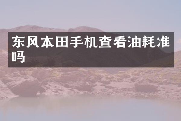 东风本田手机查看油耗准吗