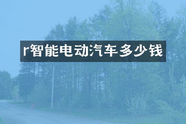 r智能电动汽车多少钱