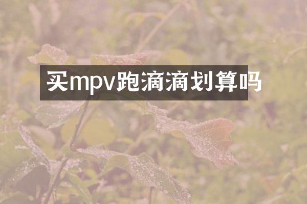 买mpv跑滴滴划算吗