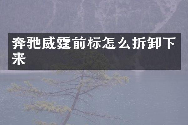 奔驰威霆前标怎么拆卸下来