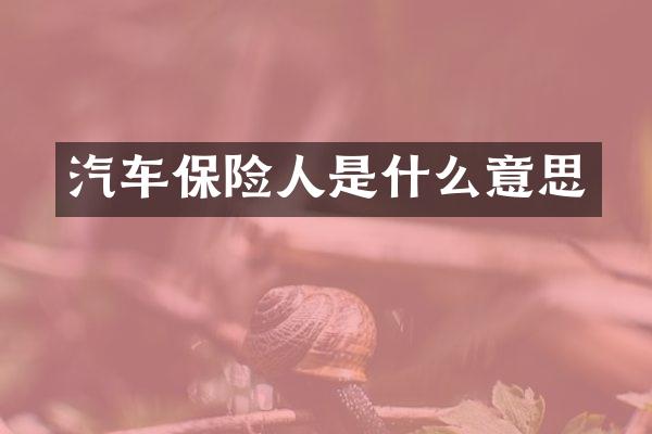 汽车保险人是什么意思