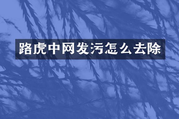 路虎中网发污怎么去除