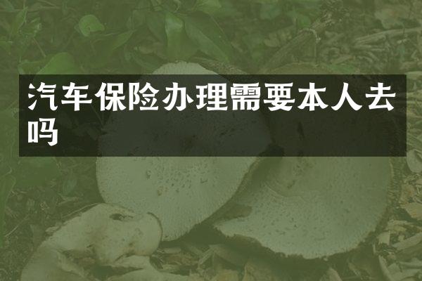 汽车保险办理需要本人去吗