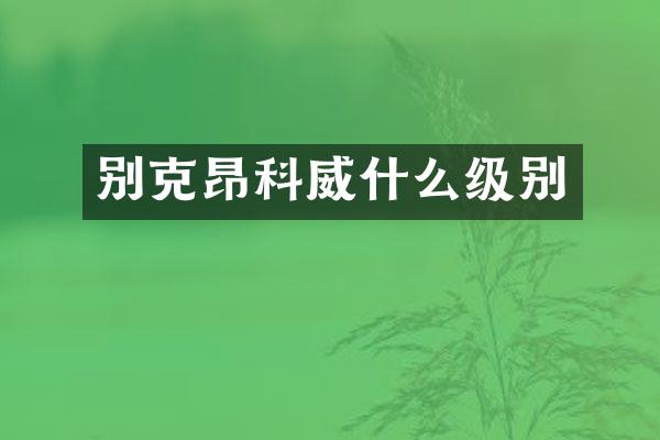 别克昂科威什么级别
