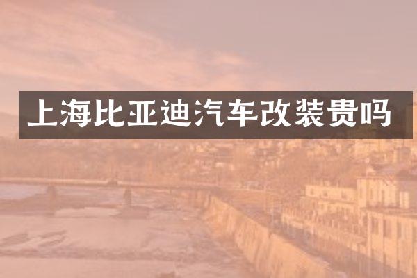 上海比亚迪汽车改装贵吗