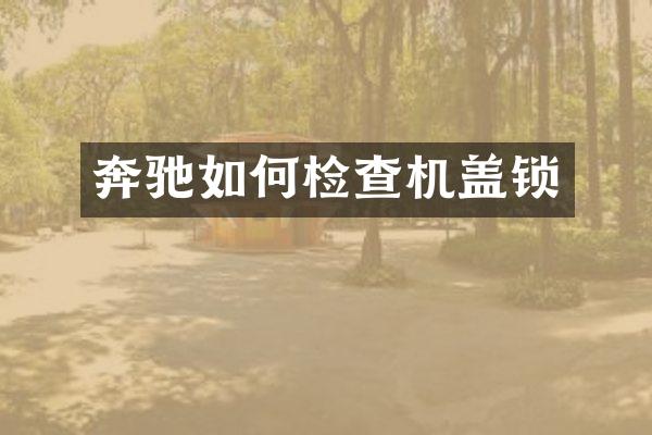 奔驰如何检查机盖锁