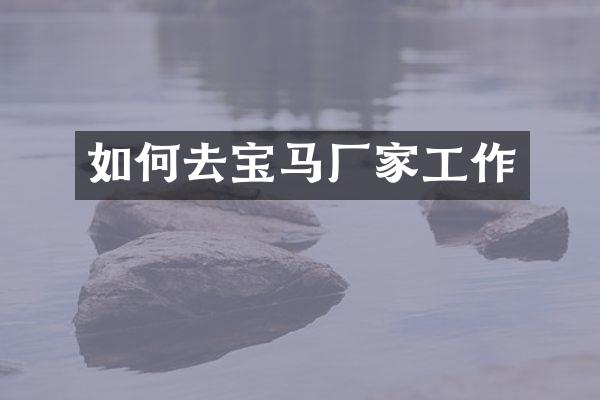 如何去宝马厂家工作