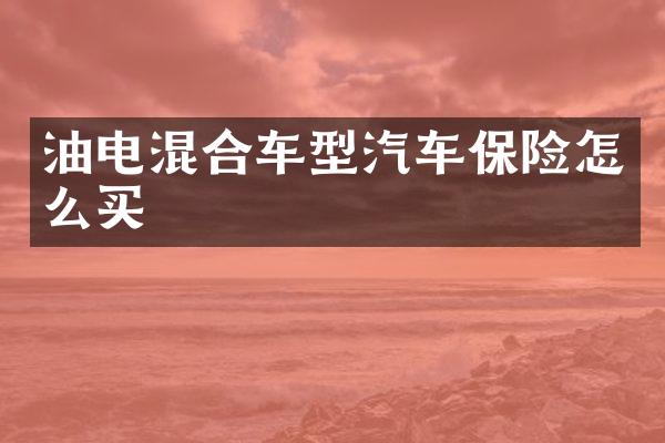 油电混合车型汽车保险怎么买
