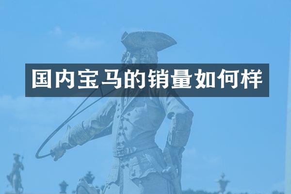国内宝马的销量如何样