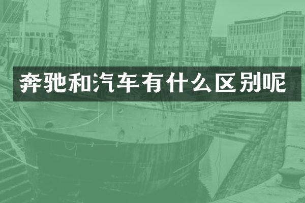 奔驰和汽车有什么区别呢