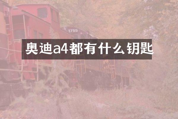奥迪a4都有什么钥匙