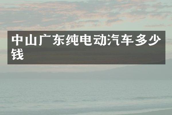 中山广东纯电动汽车多少钱