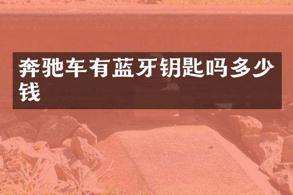 奔驰车有蓝牙钥匙吗多少钱