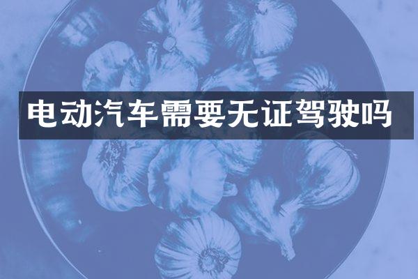 电动汽车需要无证驾驶吗