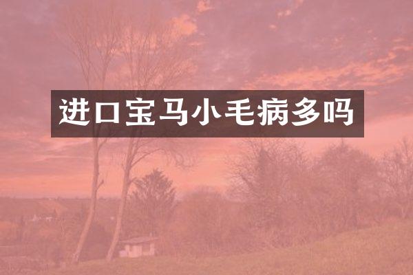 进口宝马小毛病多吗