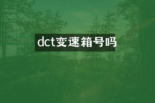 dct变速箱号吗