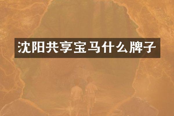 沈阳共享宝马什么牌子