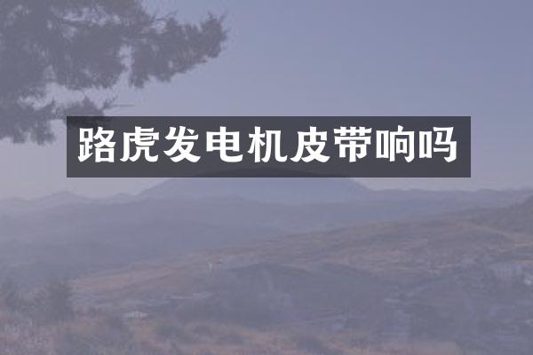 路虎发电机皮带响吗