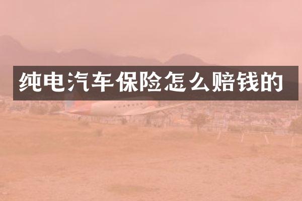 纯电汽车保险怎么赔钱的