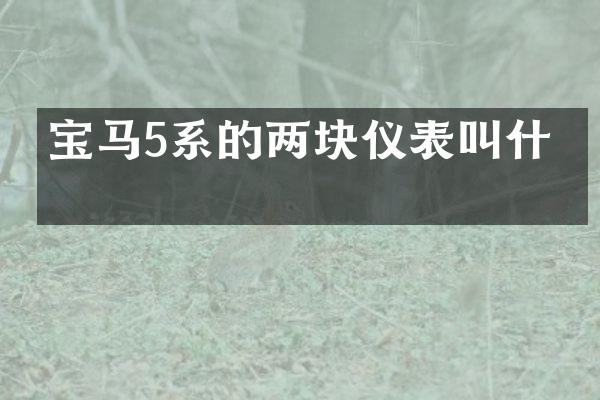 宝马5系的两块仪表叫什么