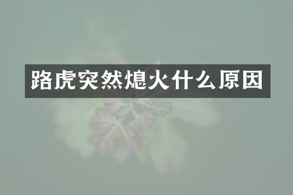 路虎突然熄火什么原因
