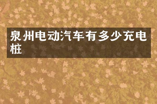 泉州电动汽车有多少充电桩