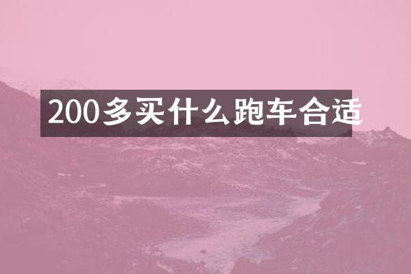 200多跑车合适