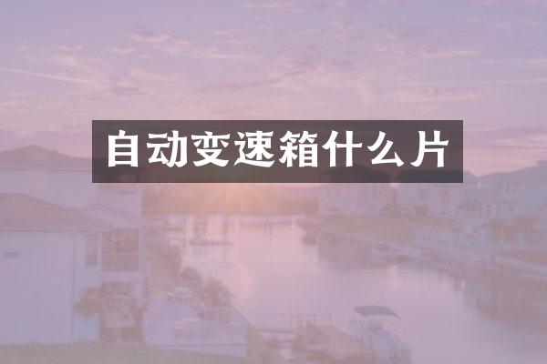 自动变速箱什么片
