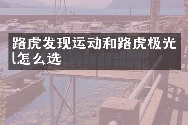 路虎发现运动和路虎极光l怎么选