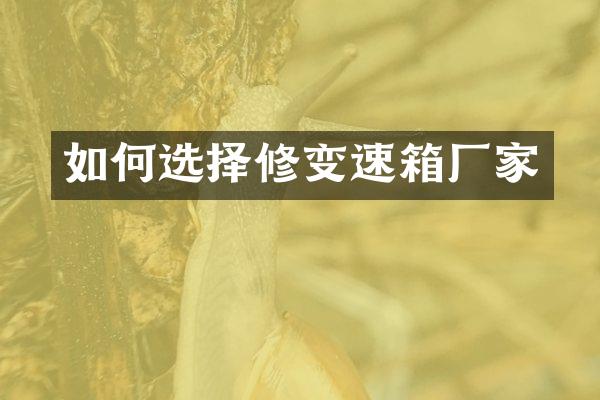 如何选择修变速箱厂家