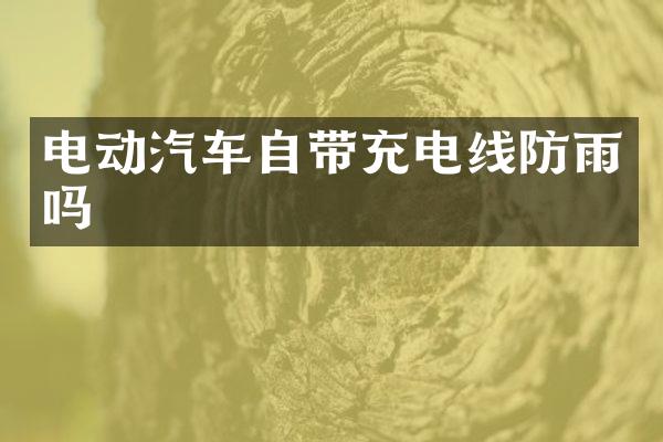 电动汽车自带充电线防雨吗