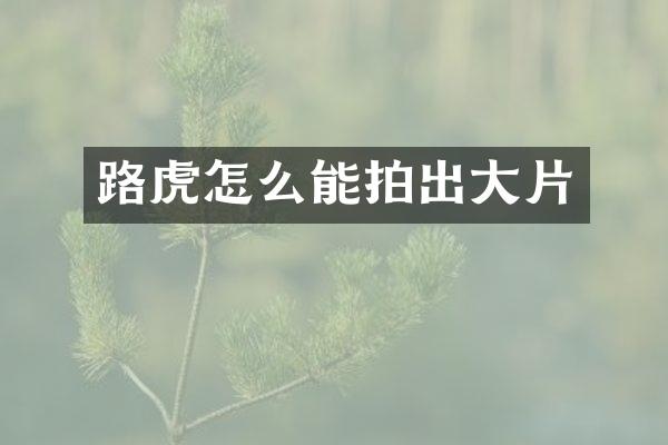 路虎怎么能拍出大片
