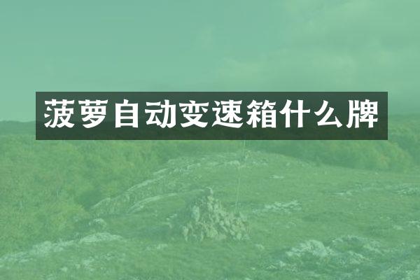 菠萝自动变速箱什么牌