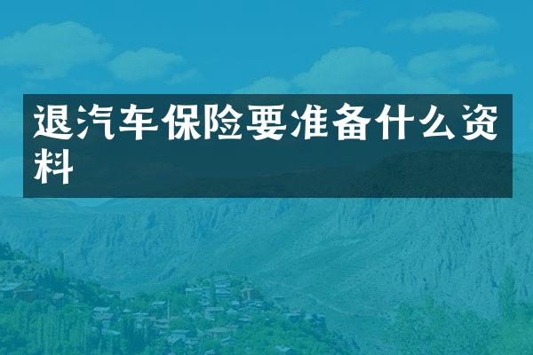 退汽车保险要准备什么资料
