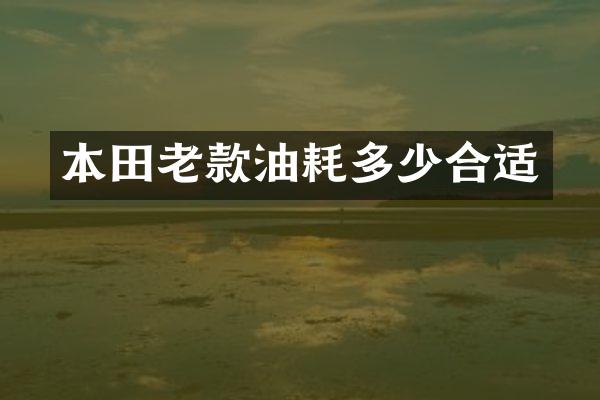 本田老款油耗多少合适