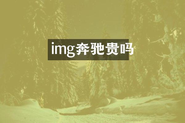 img奔驰贵吗