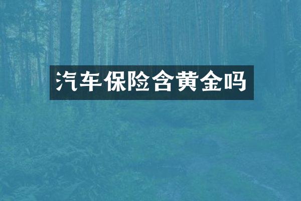 汽车保险含黄金吗
