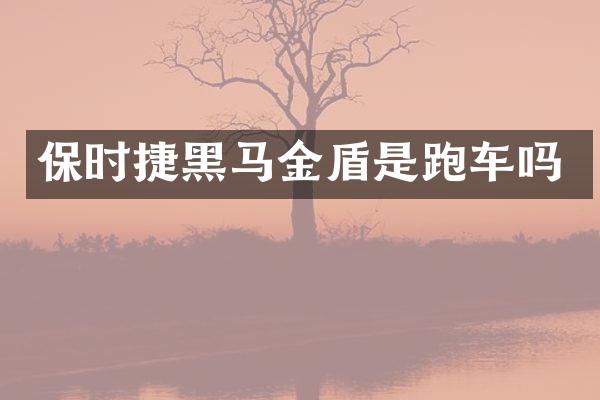 保时捷黑马金盾是跑车吗