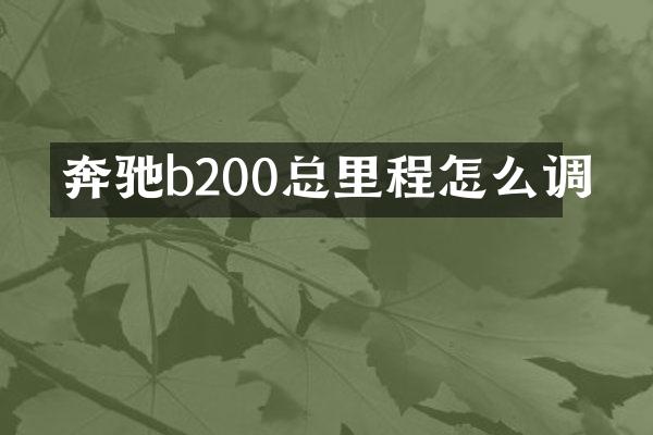 奔驰b200总里程怎么调