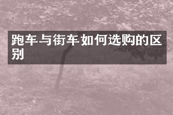 跑车与街车如何选购的区别