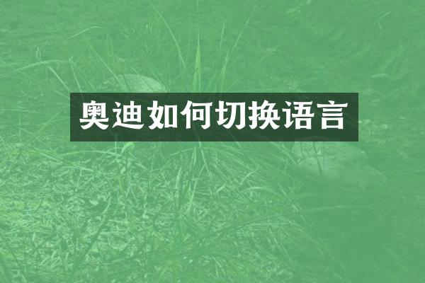 奥迪如何切换语言