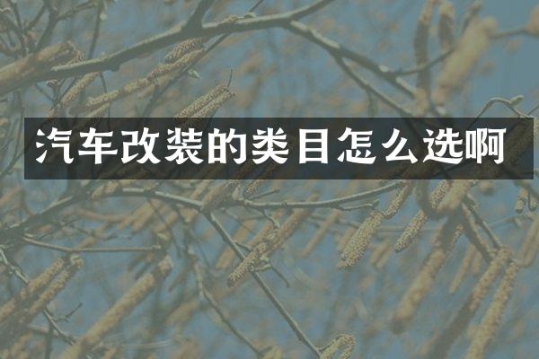 汽车改装的类目怎么选啊