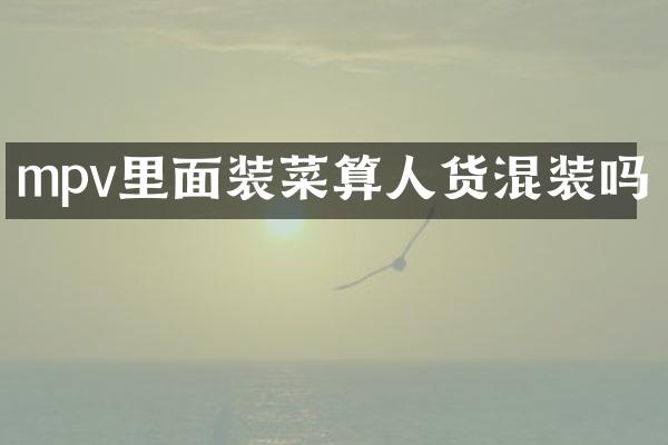 mpv里面装菜算人货混装吗