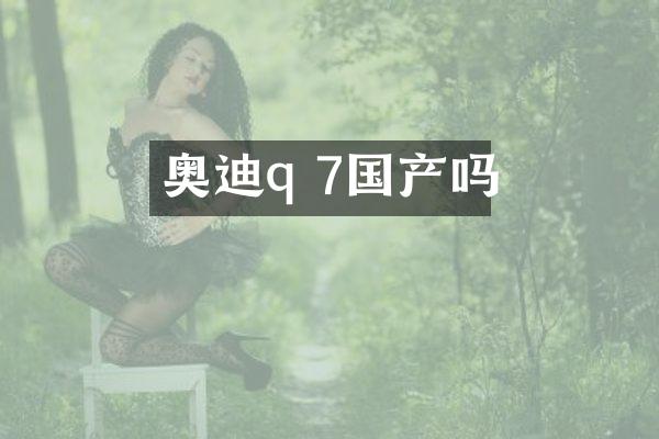 奥迪q 7国产吗