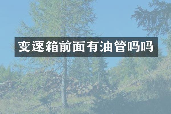 变速箱前面有油管吗吗