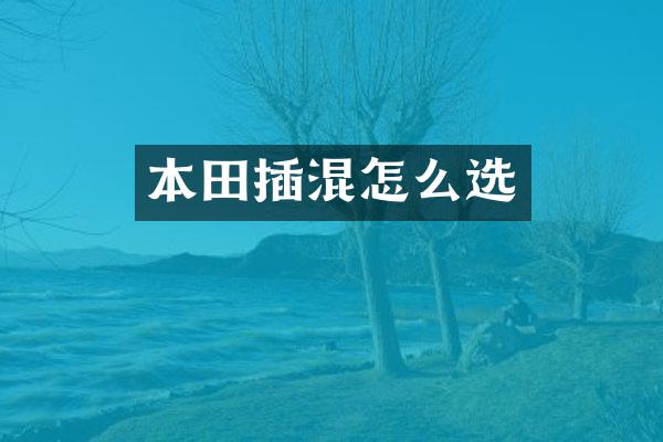本田插混怎么选