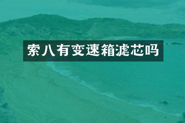 索八有变速箱滤芯吗