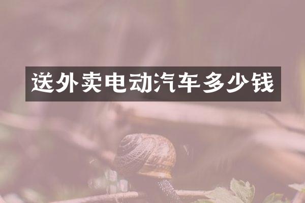 送外卖电动汽车多少钱