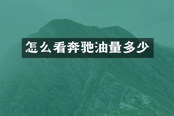 怎么看奔驰油量多少