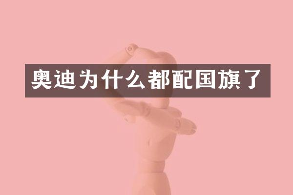 奥迪为什么都配国旗了